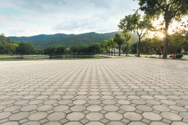 Best Interlocking Driveway Pavers  in Carle Place, NY