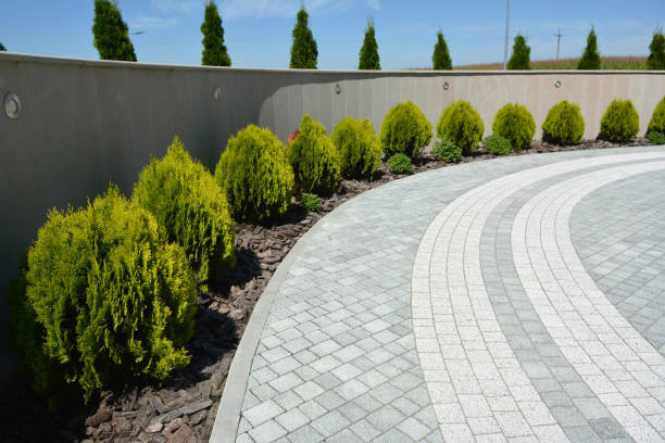 Best Brick Driveway Pavers  in Carle Place, NY