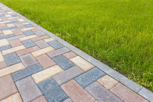 Best Residential Paver Driveway  in Carle Place, NY